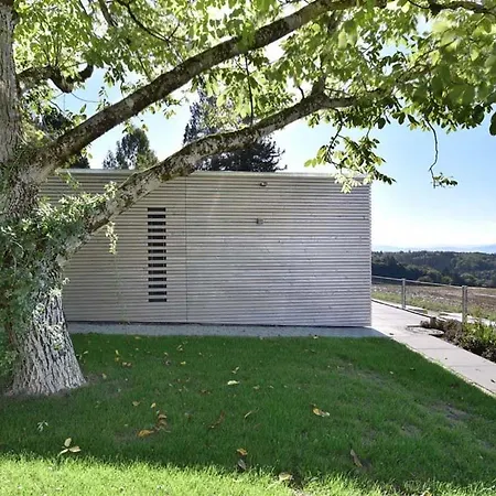 Tinyhaus Adam Фрайамт